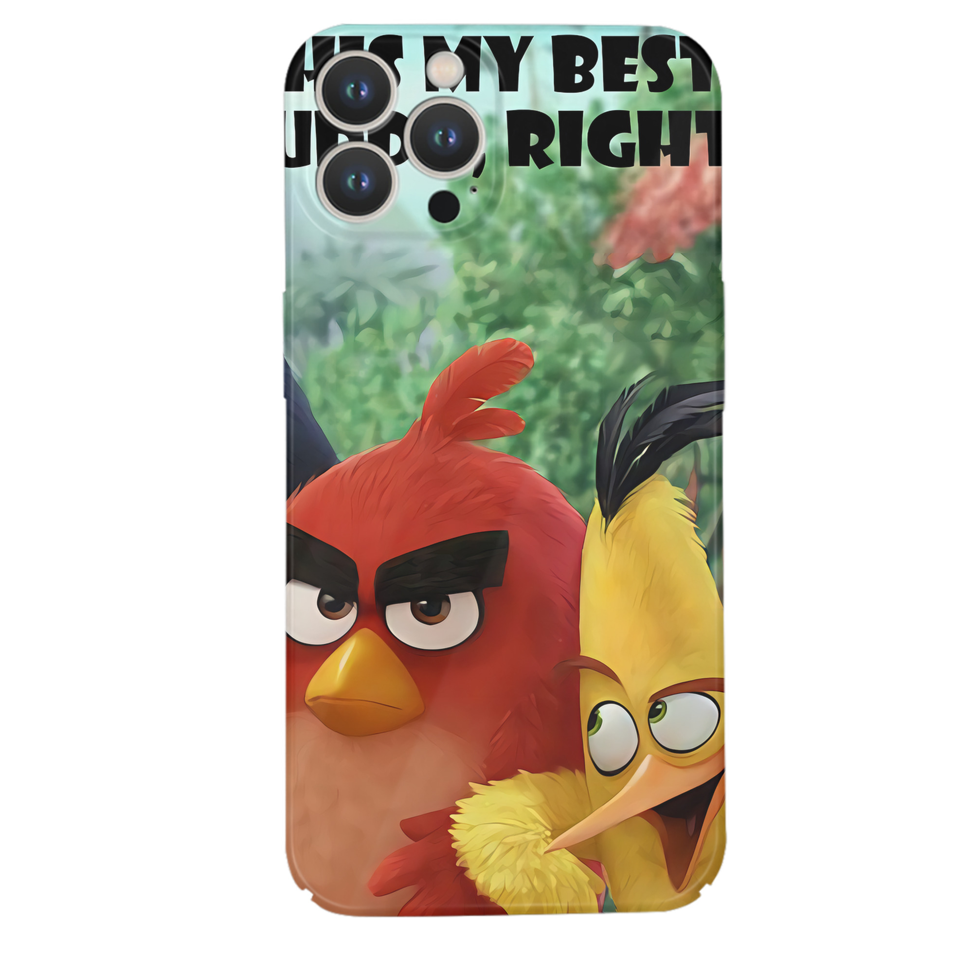 （画像用） Angry Birds アングリーバード 【iPhone 14シリーズ対応】ハードケース